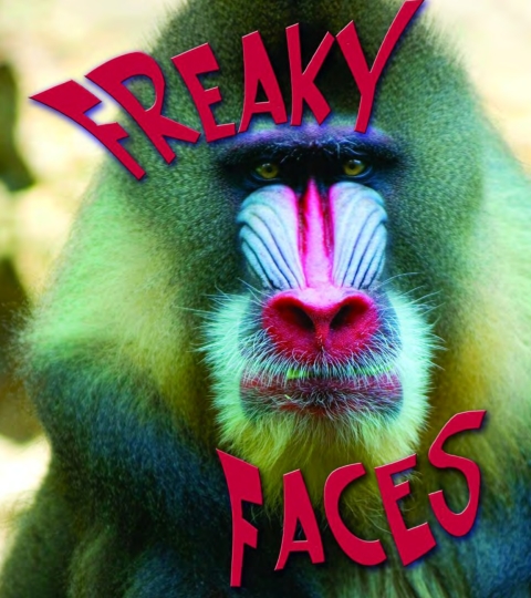 Cover image for book Freaky Faces