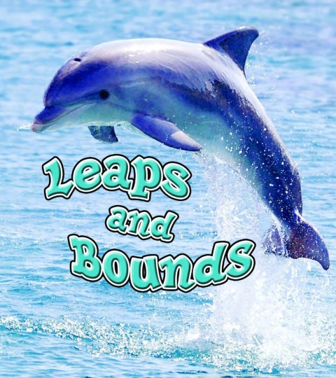Cover image for book Leaps and Bounds