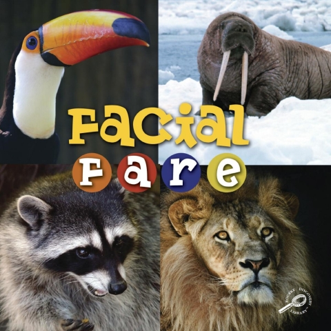 Cover image for book Facial Fare