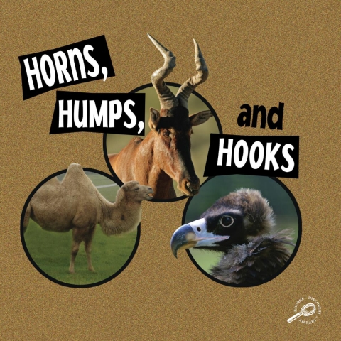 Cover image for book Horns, Humps, and Hooks