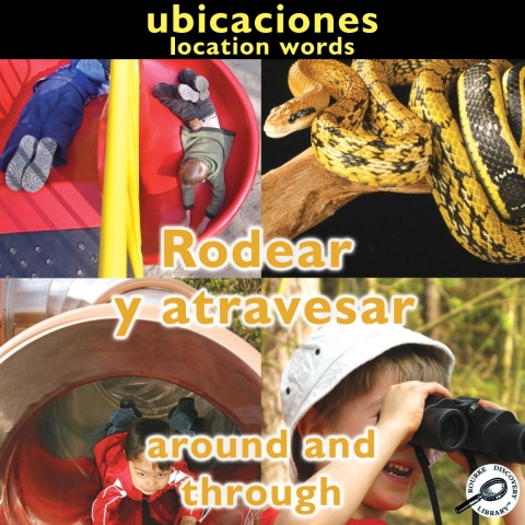 Cover image for book Rodear y atravesar