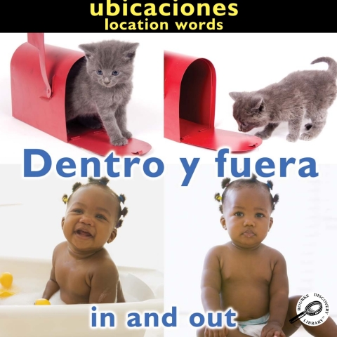 Cover image for book Dentro y fuera