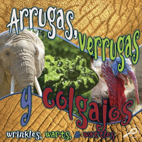 Cover image for book Arrugas, verrugas y colgajos