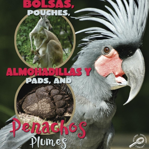 Cover image for book Bolsas, almohadillas y penachos