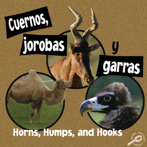Cover image for book Cuernos, jorobas y garras