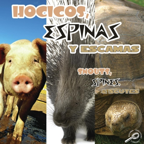 Cover image for book Hocicos, espinas y escamas