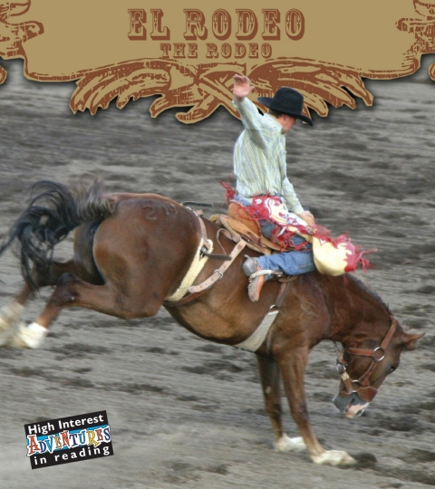 Cover image for book El rodeo