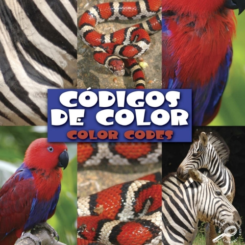 Cover image for book Códigos de color