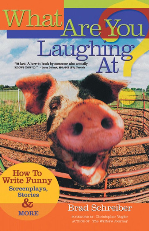 Cover image for book What Are You Laughing At?