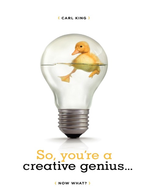 Cover image for book So, You're A Creative Genius, Now what?