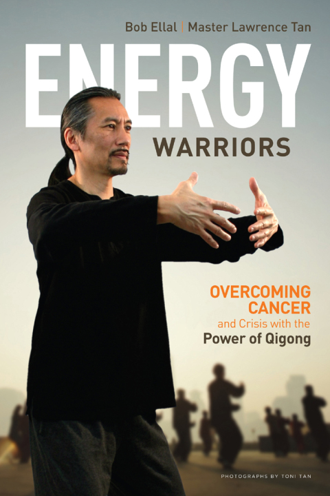 Cover image for book Energy Warriors