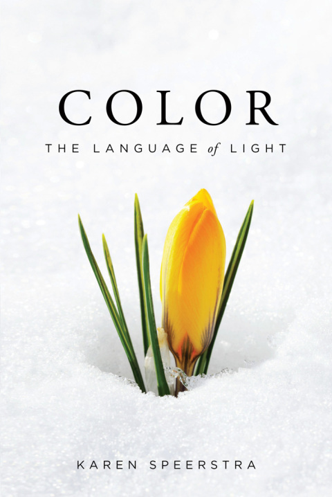 Cover image for book Color