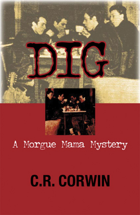 Cover image for book Dig