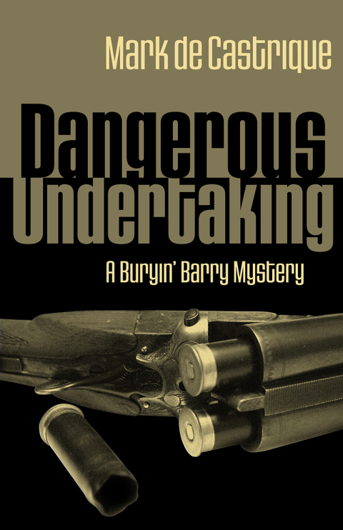 Cover image for book Dangerous Undertaking