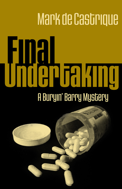 Cover image for book Final Undertaking