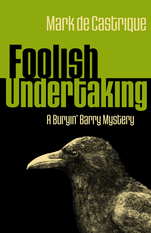 Cover image for book Foolish Undertaking