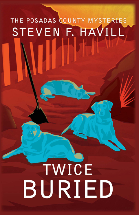 Cover image for book Twice Buried