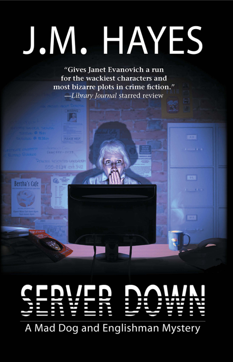 Cover image for book Server Down