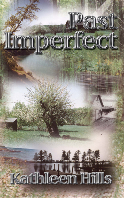 Cover image for book Past Imperfect