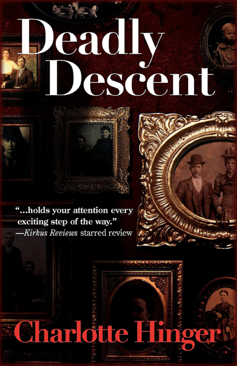Cover image for book Deadly Descent