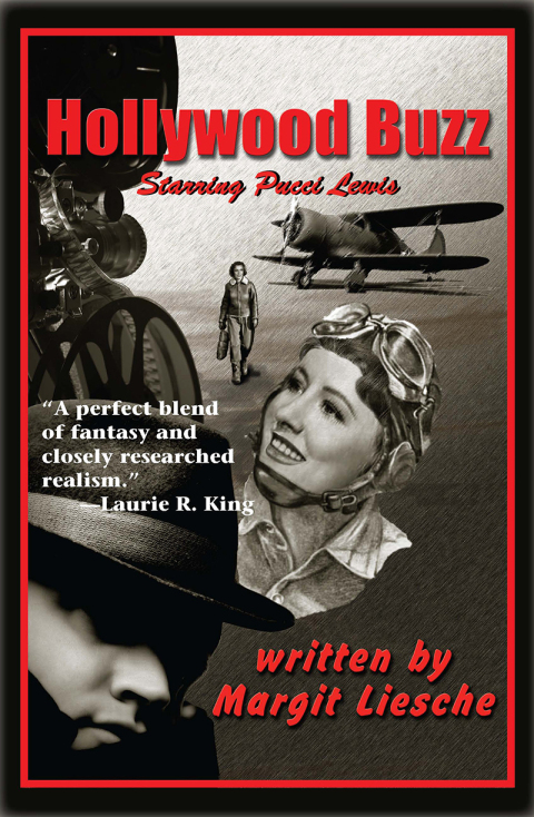 Cover image for book Hollywood Buzz