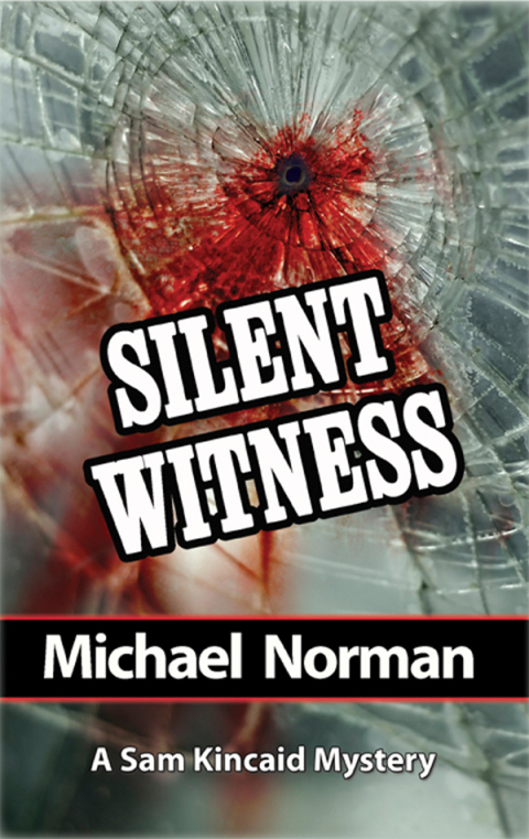 Cover image for book Silent Witness