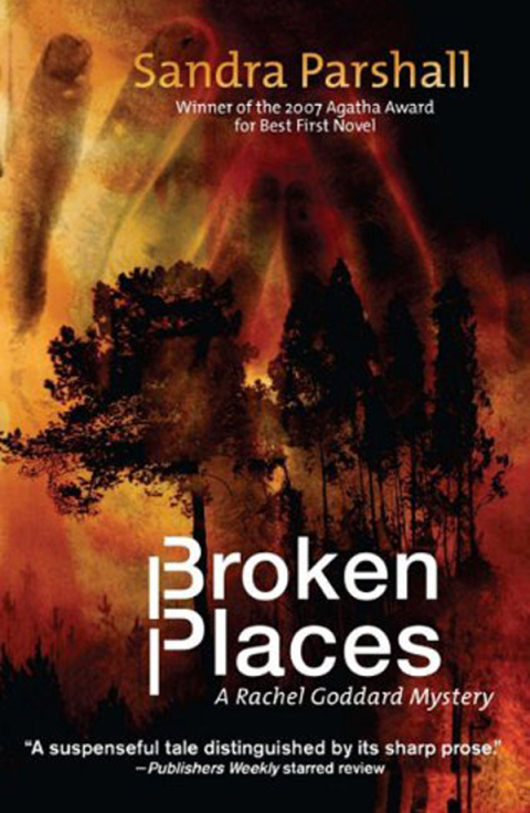 Cover image for book Broken Places