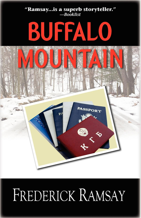 Cover image for book Buffalo Mountain