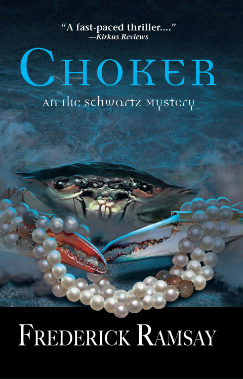 Cover image for book Choker