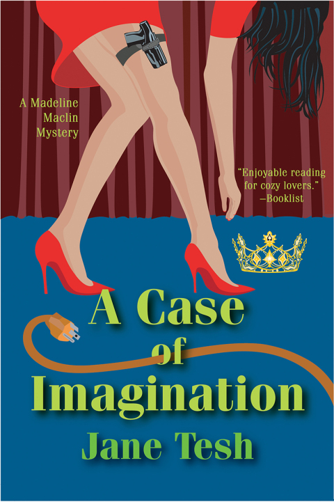 Cover image for book A Case of Imagination