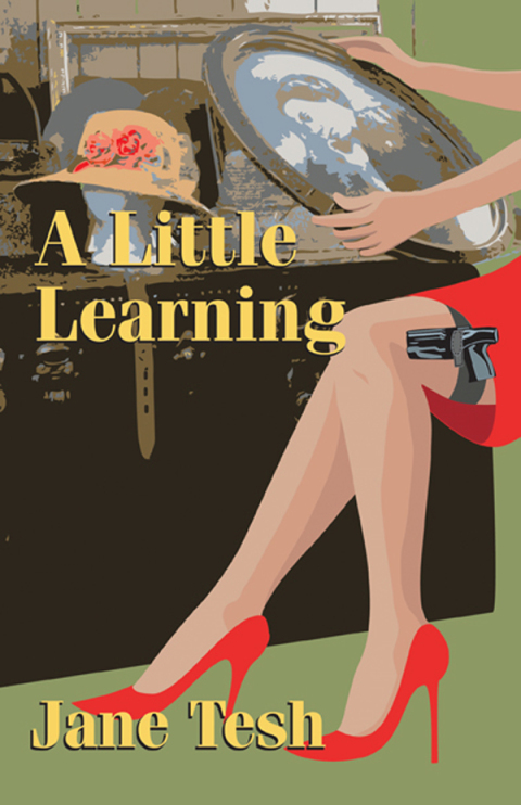Cover image for book A Little Learning