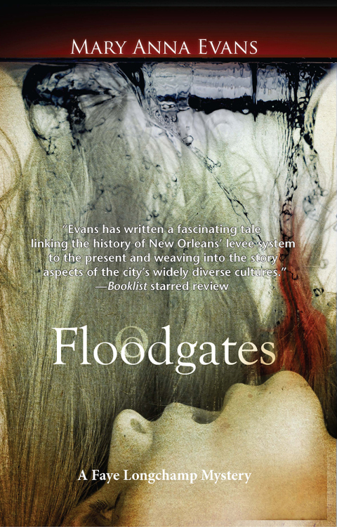 Cover image for book Floodgates