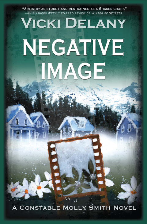 Cover image for book Negative Image