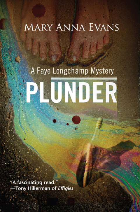 Cover image for book Plunder