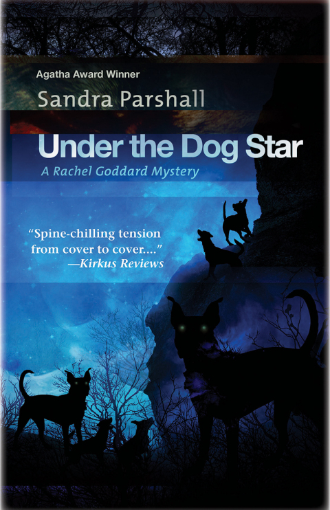 Cover image for book Under the Dog Star