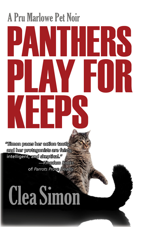 Cover image for book Panthers Play for Keeps