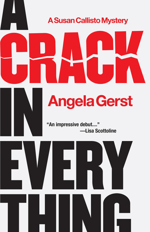 Cover image for book A Crack in Everything