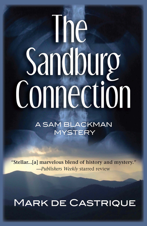 Cover image for book The Sandburg Connection