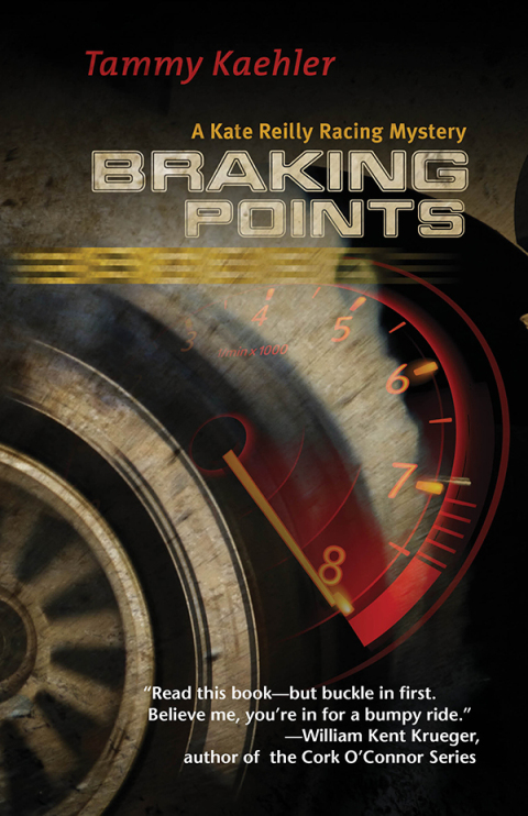 Cover image for book Braking Points