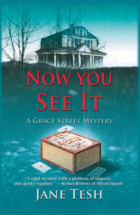 Cover image for book Now You See It