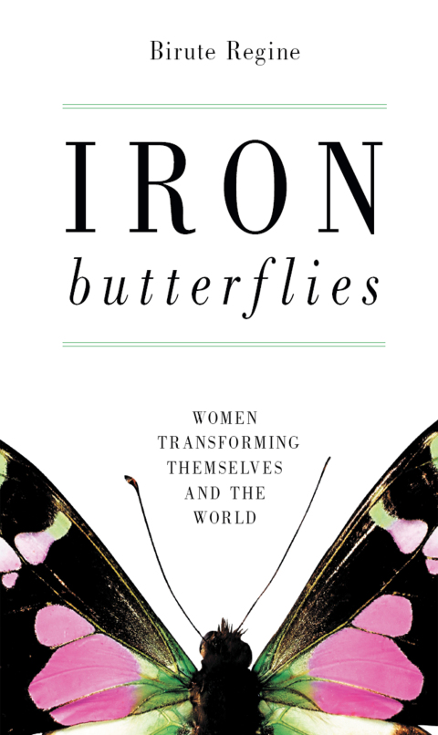Cover image for book Iron Butterflies