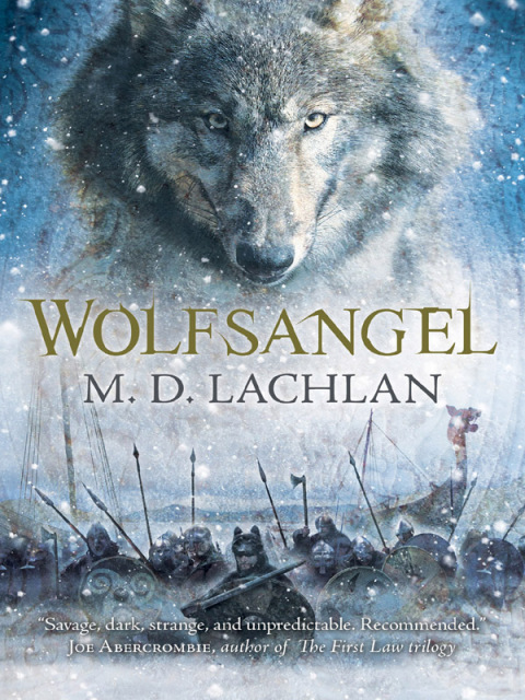 Cover image for book Wolfsangel