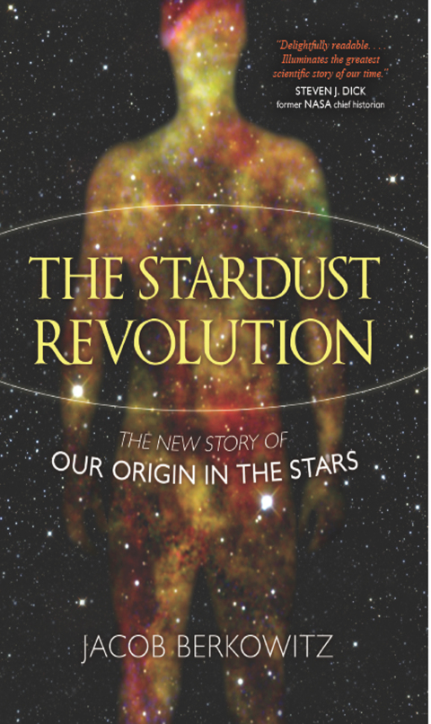 Cover image for book Stardust Revolution