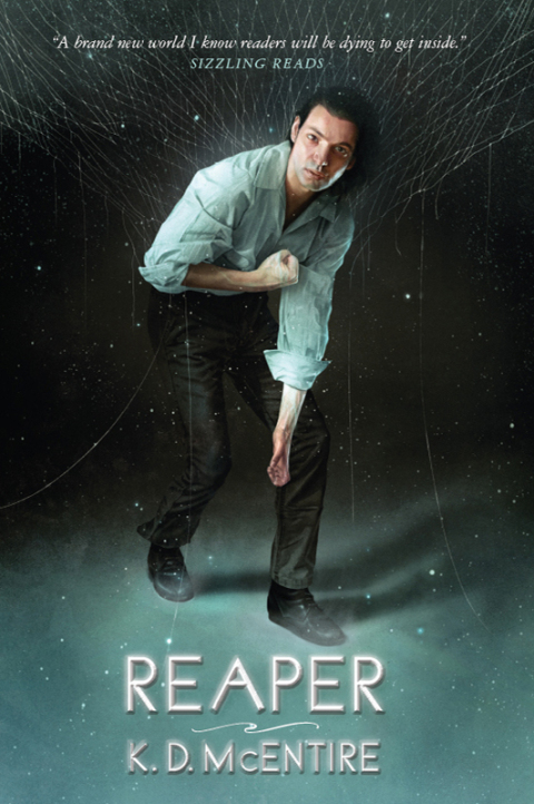Cover image for book Reaper
