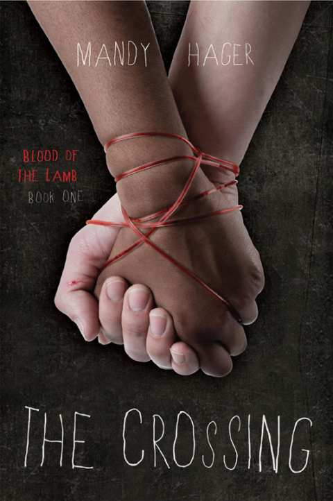 Cover image for book Crossing