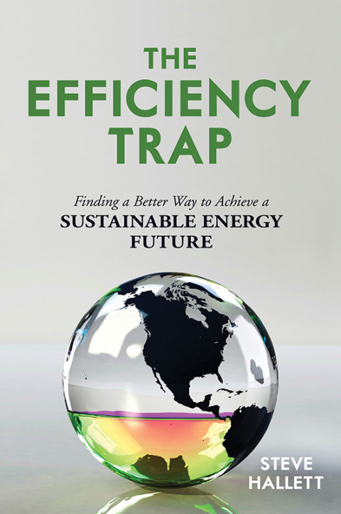 Cover image for book Efficiency Trap