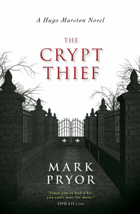 Cover image for book The Crypt Thief