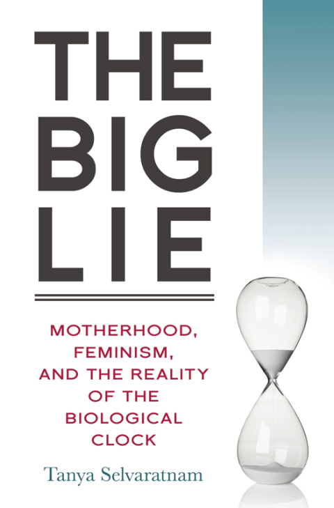 Cover image for book Big Lie