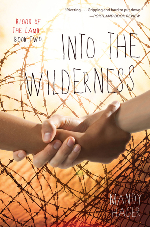 Cover image for book Into the Wilderness