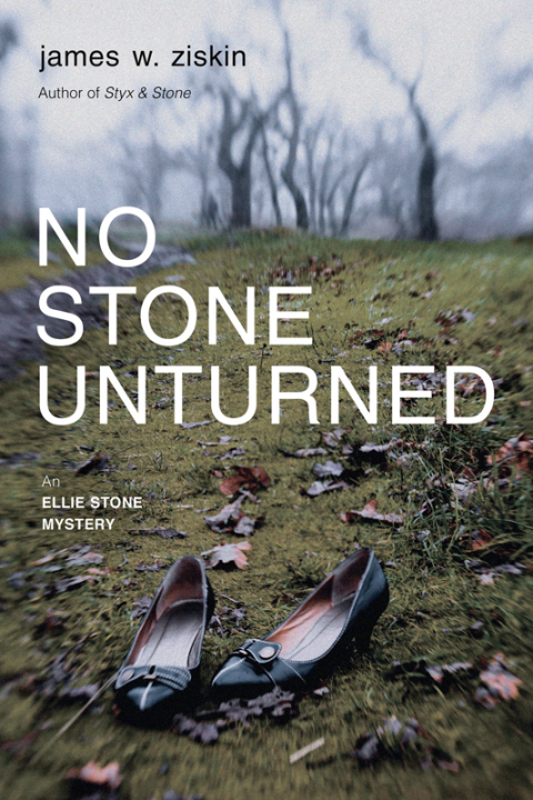 Cover image for book No Stone Unturned